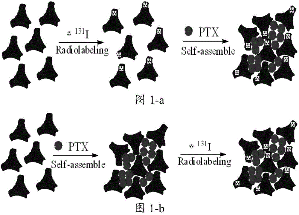 Protein co-loading chemotherapy drug and radiotherapy drug and application of protein