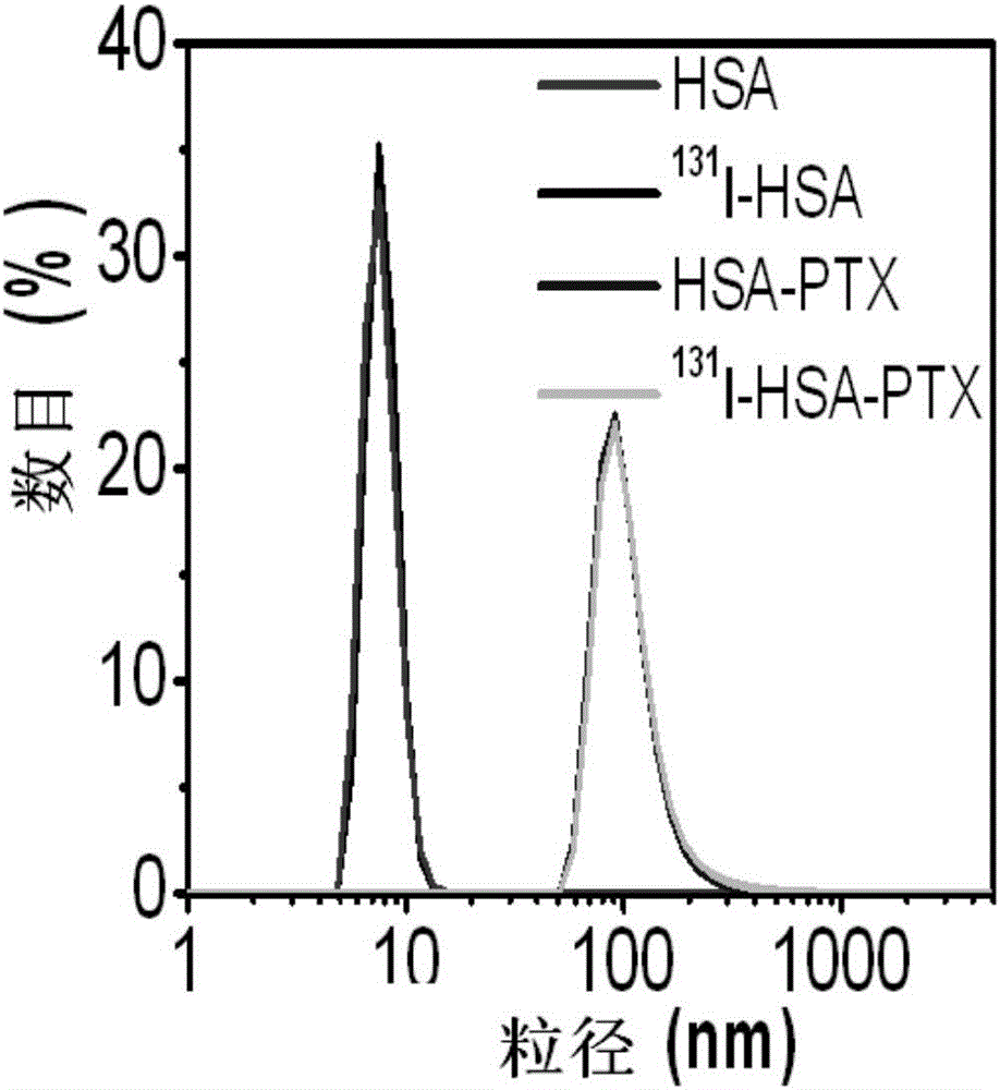 Protein co-loading chemotherapy drug and radiotherapy drug and application of protein