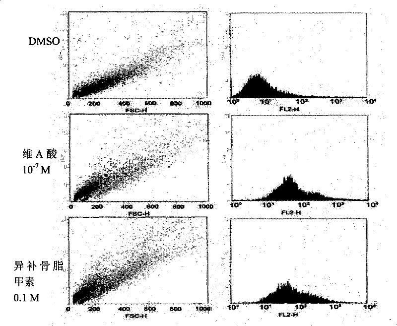 Use of neurocyte differentiated from stem cell induced by isobavachin