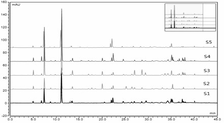 A construction method and identification method of the ULC characteristic map of the peduncle, Shiwei, Lushan Shiwei and North China Shiwei