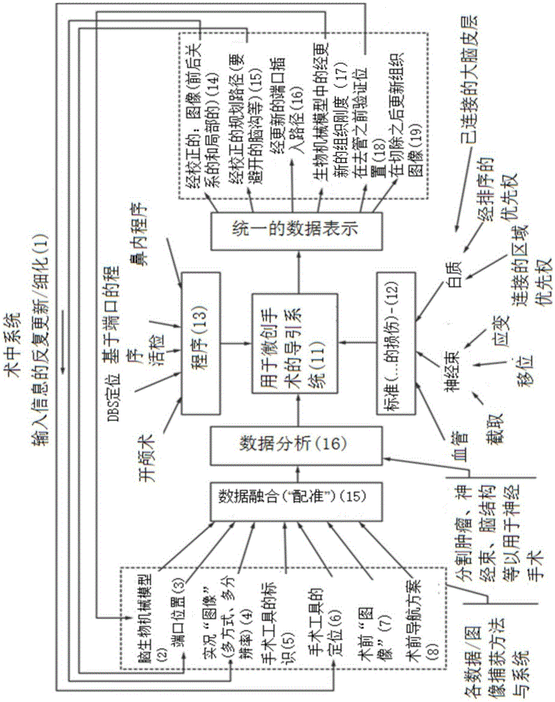 System and method for detecting tissue and fiber tract deformation