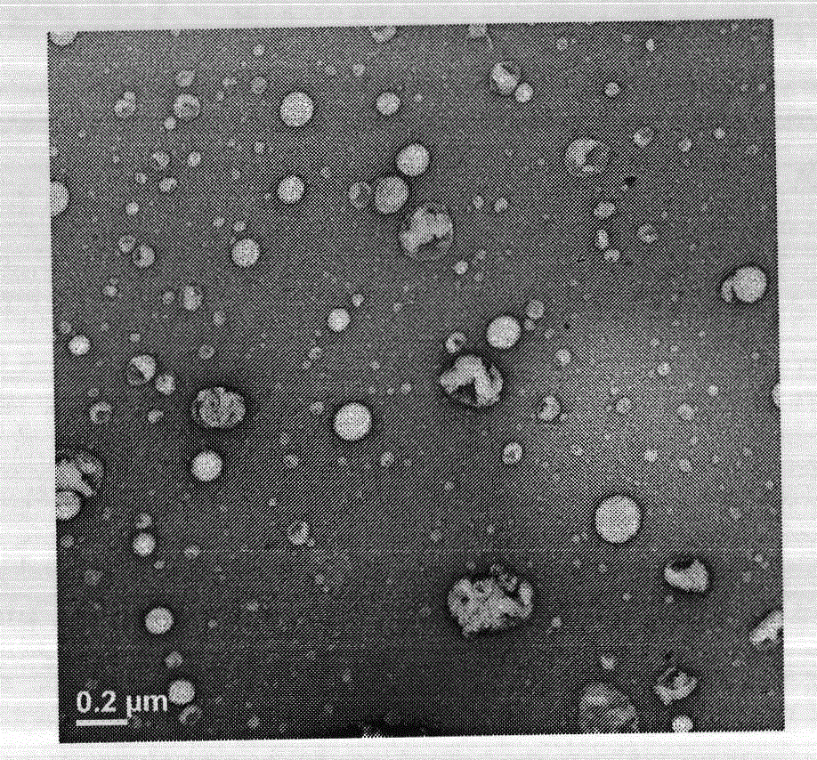 Flexible nanoliposomes with procyanidine and preparation method for flexible nanoliposomes