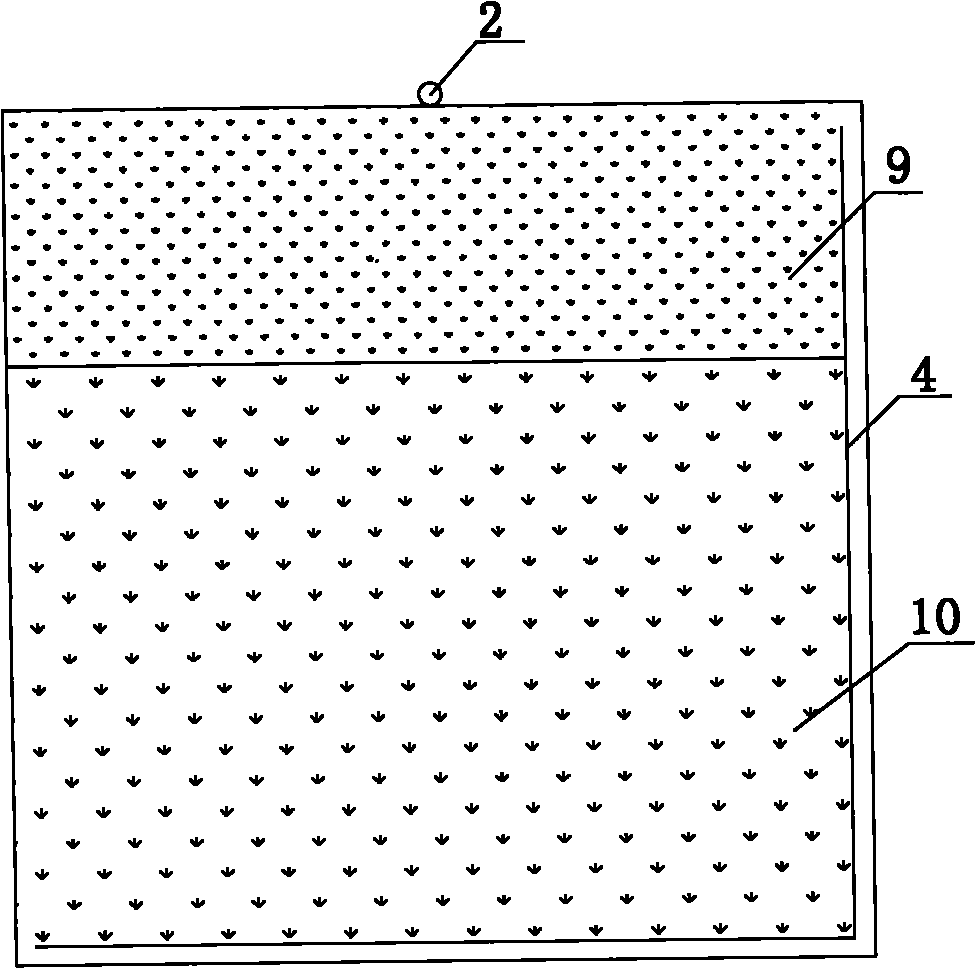 Drip irrigation under film of fruit tree and root field microenvironment regulation and controlling integrated method