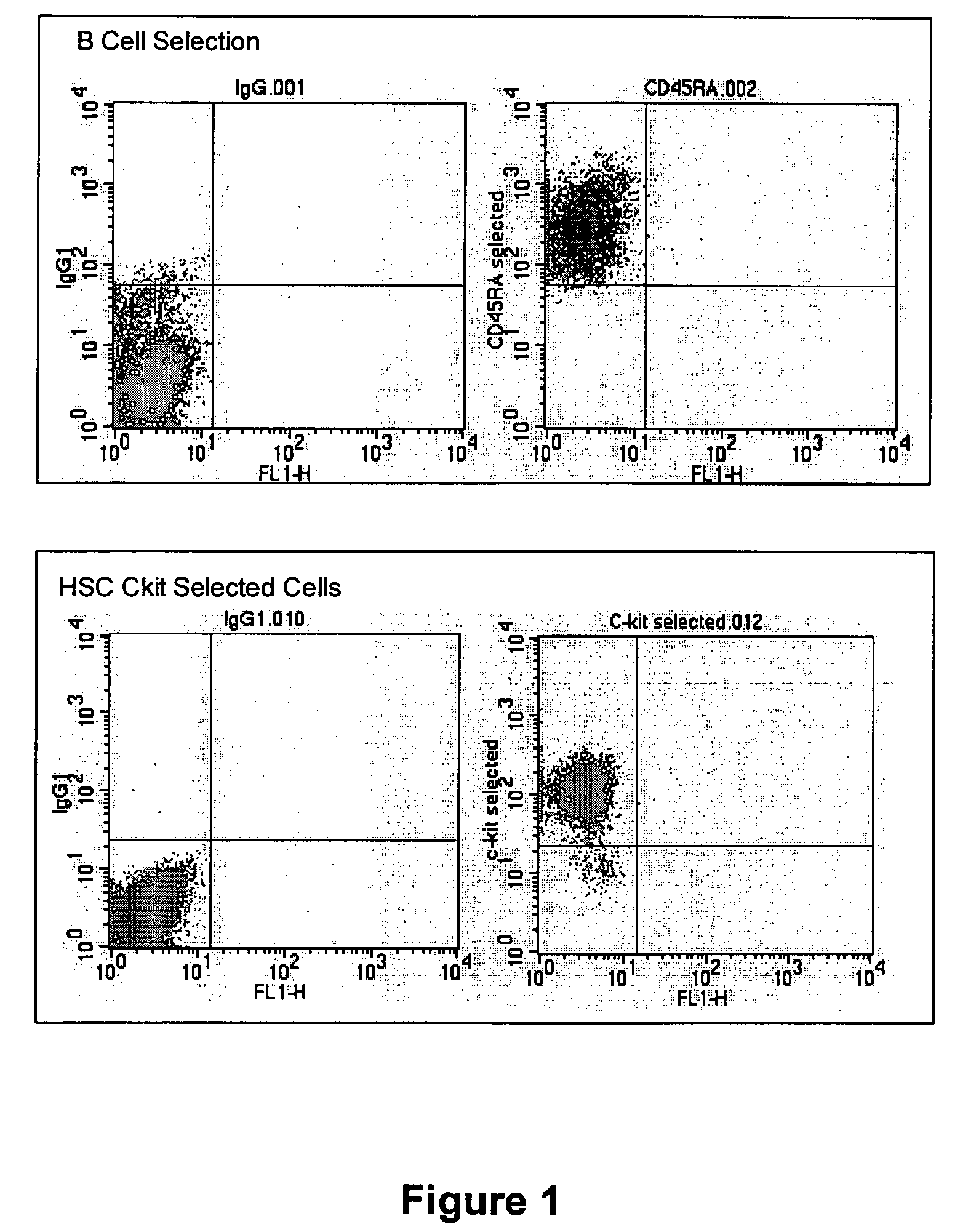 Recovery of tissue function following administration of B cells to injured tissue