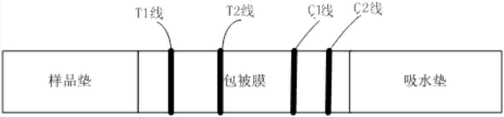 Pepsinogen I and pepsinogen II detection method and kit thereof