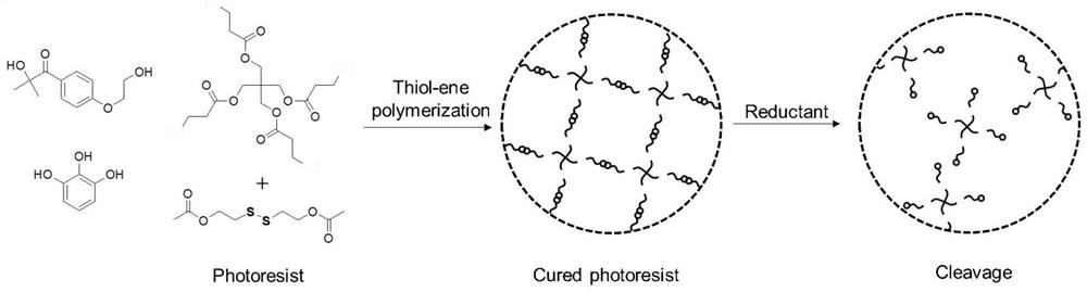 Degradable photoresist and application thereof in 3D printing