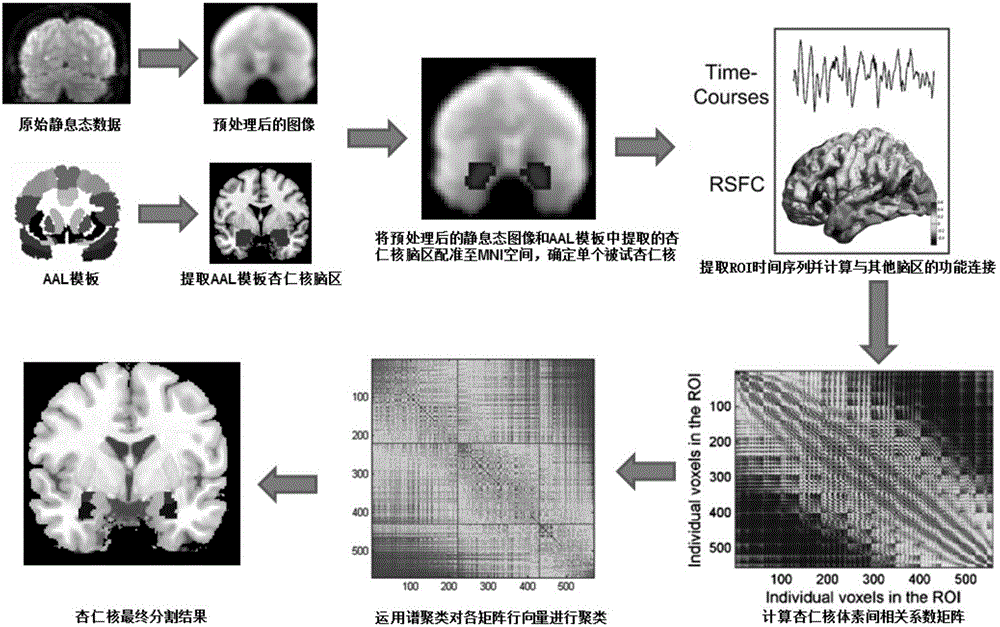 Amygdaloid nucleus spectral clustering segmentation method based on resting state function connection