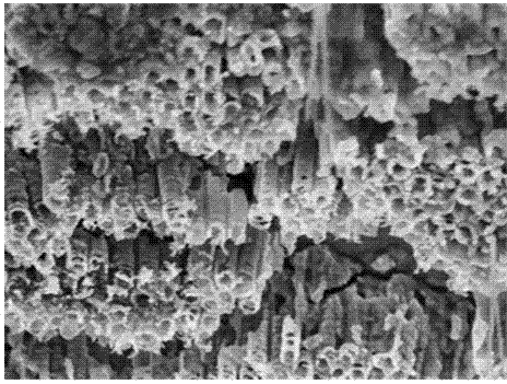 17 beta-estradiol molecular imprinting titanium dioxide (TIO2) NANO tube and preparation method thereof