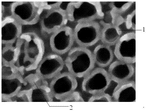 17 beta-estradiol molecular imprinting titanium dioxide (TIO2) NANO tube and preparation method thereof