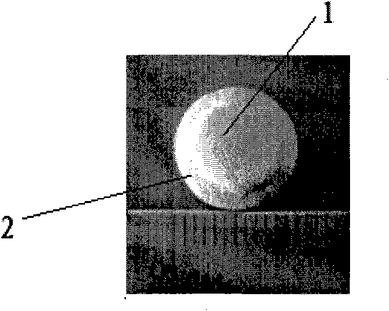 Piston-shaped bone repairing support and application thereof