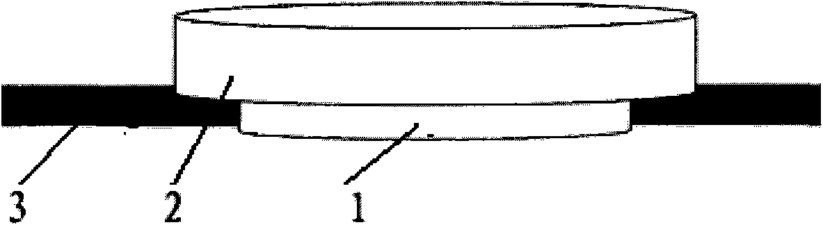 Piston-shaped bone repairing support and application thereof