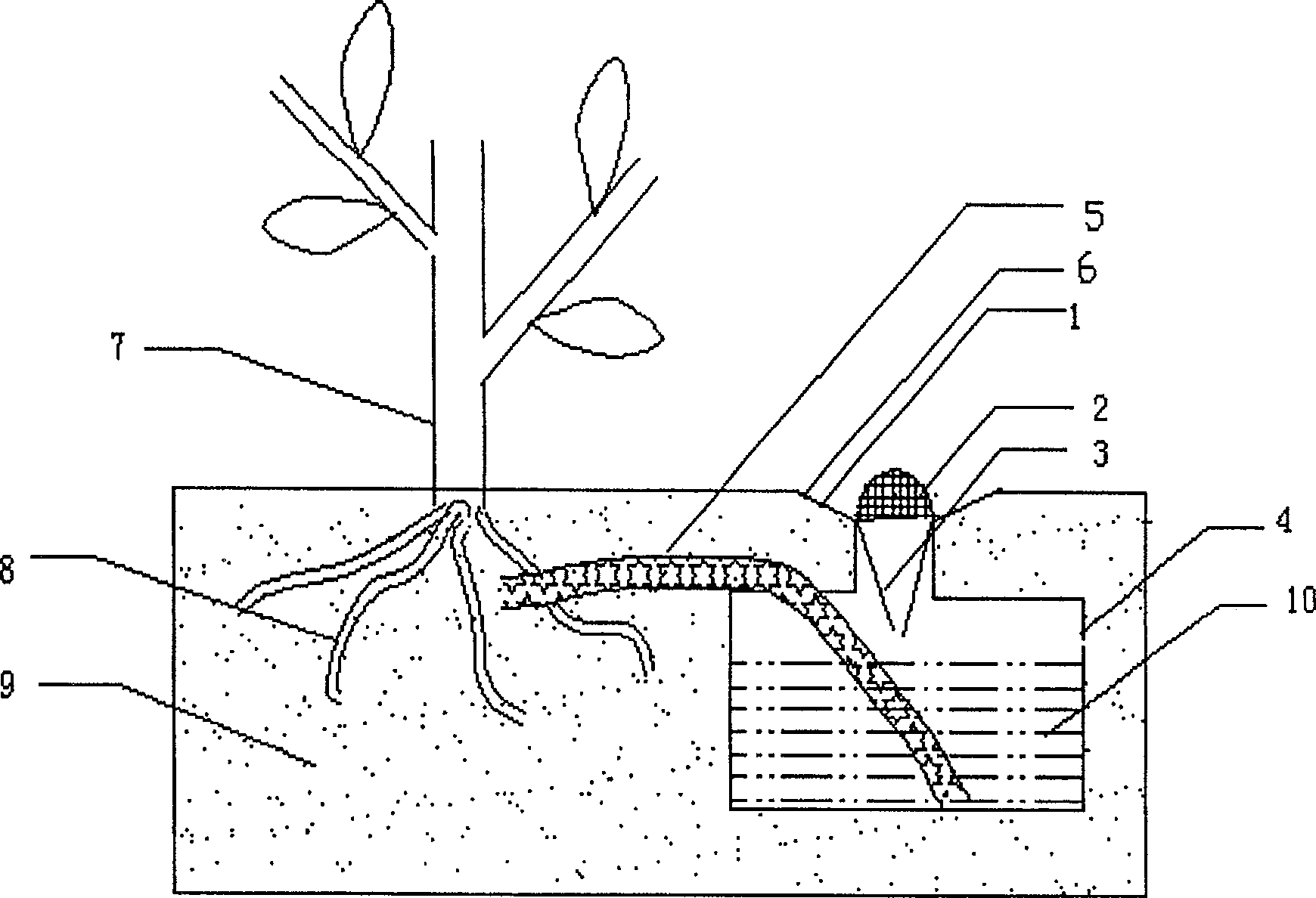 'Wick' type garden rain water collector