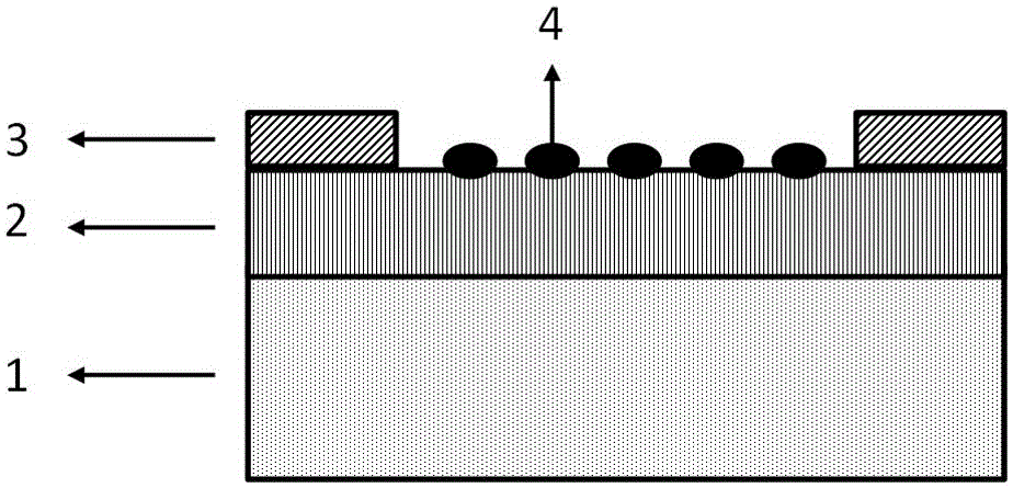 NO2 sensor and preparation method thereof