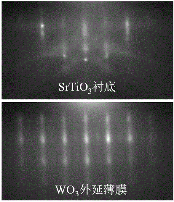 NO2 sensor and preparation method thereof