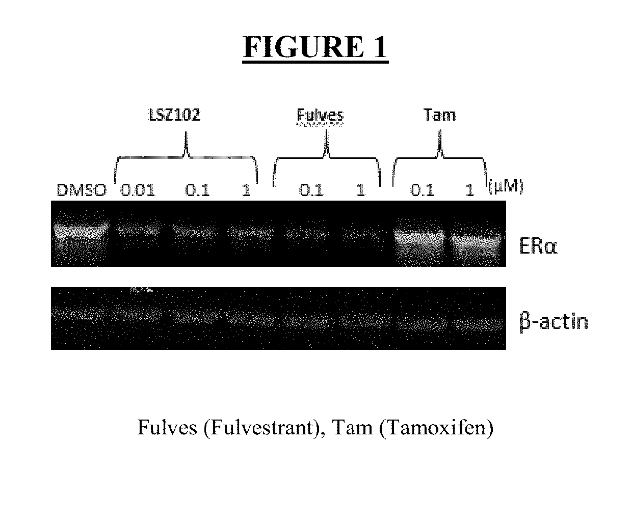 Pharmaceutical combination  comprising lsz102 and ribociclib