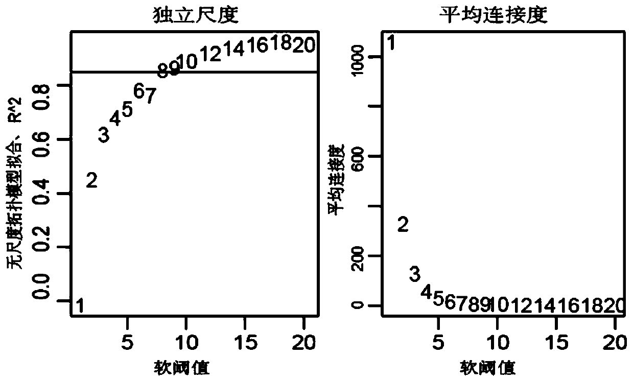 Novel method for constructing nomogram of multiple myeloma