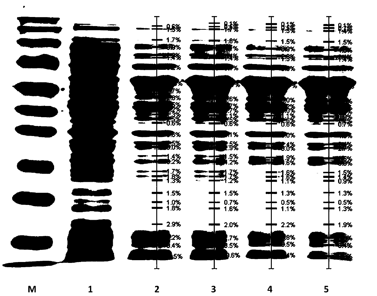 Novel coxsackie virus group A 6 recombinant subunit protein vaccine and preparation method thereof