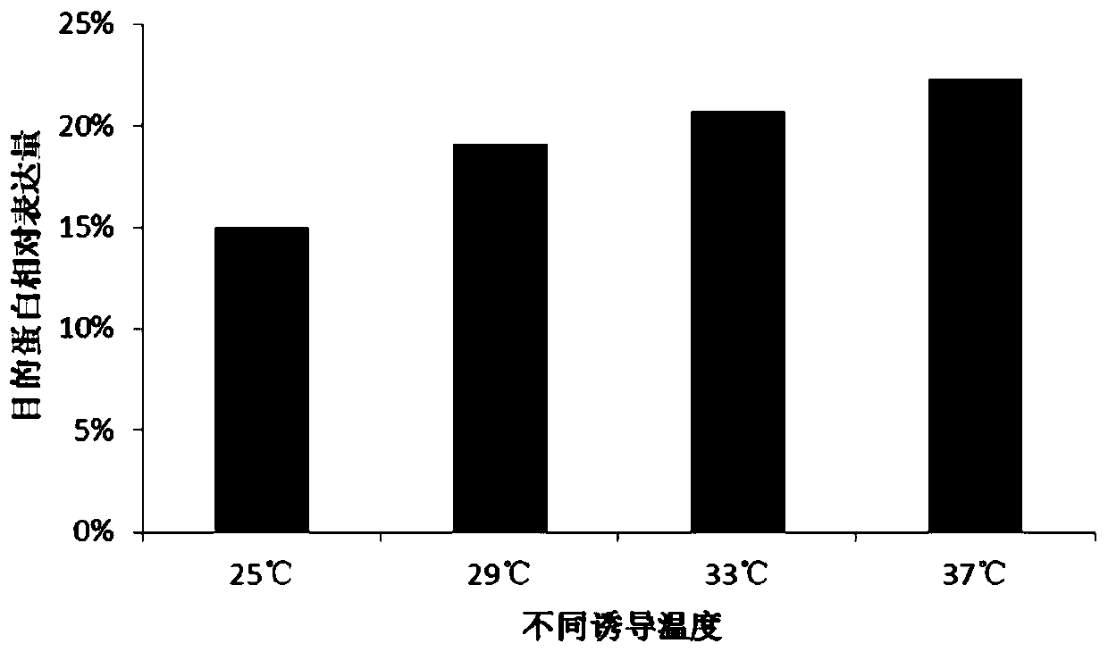 Novel coxsackie virus group A 6 recombinant subunit protein vaccine and preparation method thereof