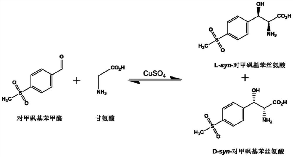 A kind of l-threonine aldolase mutant, gene and method for preparing l-syn-p-thymphenylphenylserine