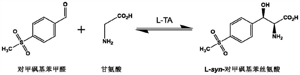 A kind of l-threonine aldolase mutant, gene and method for preparing l-syn-p-thymphenylphenylserine