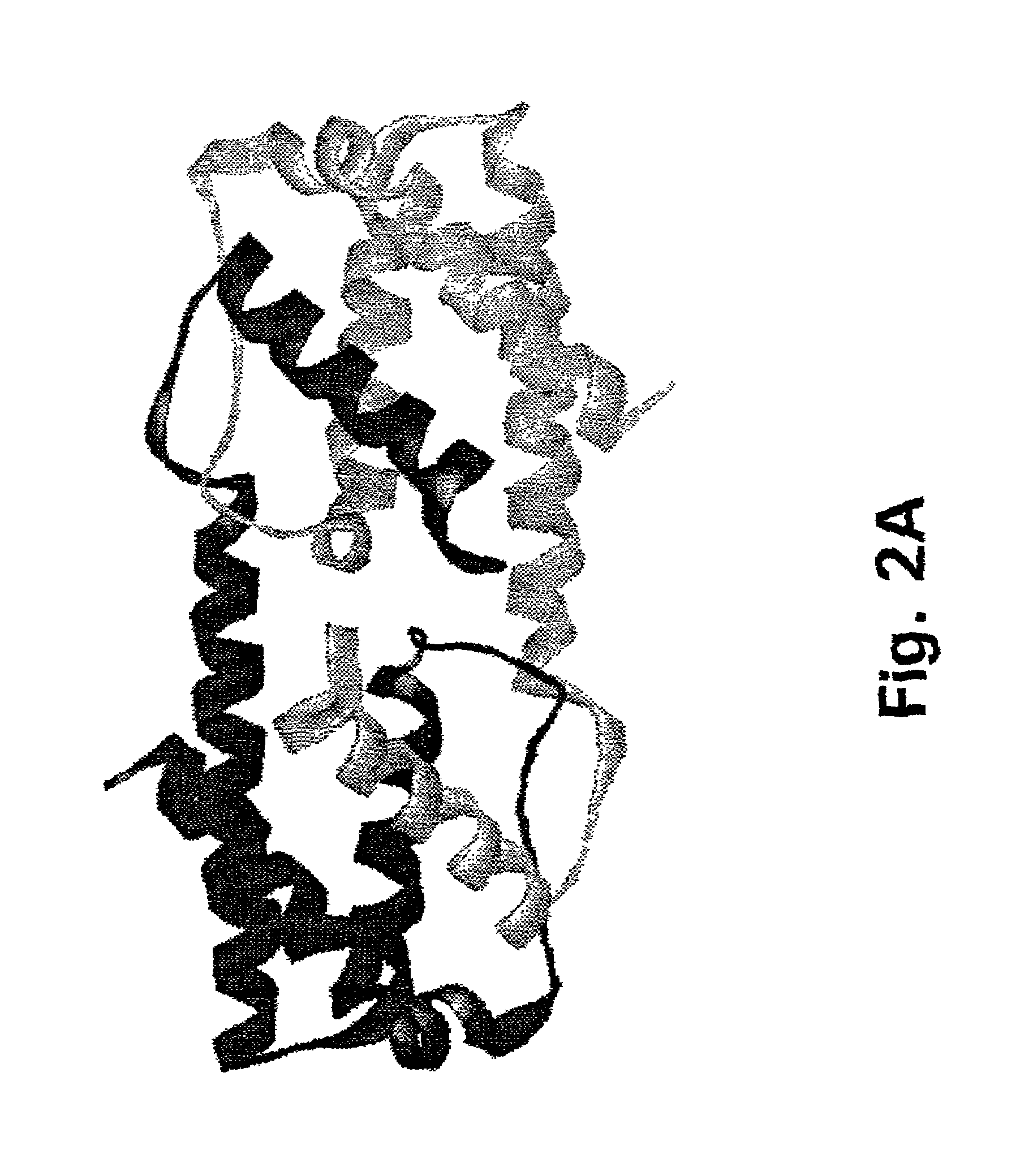 Method for down-regulating IL5 activity