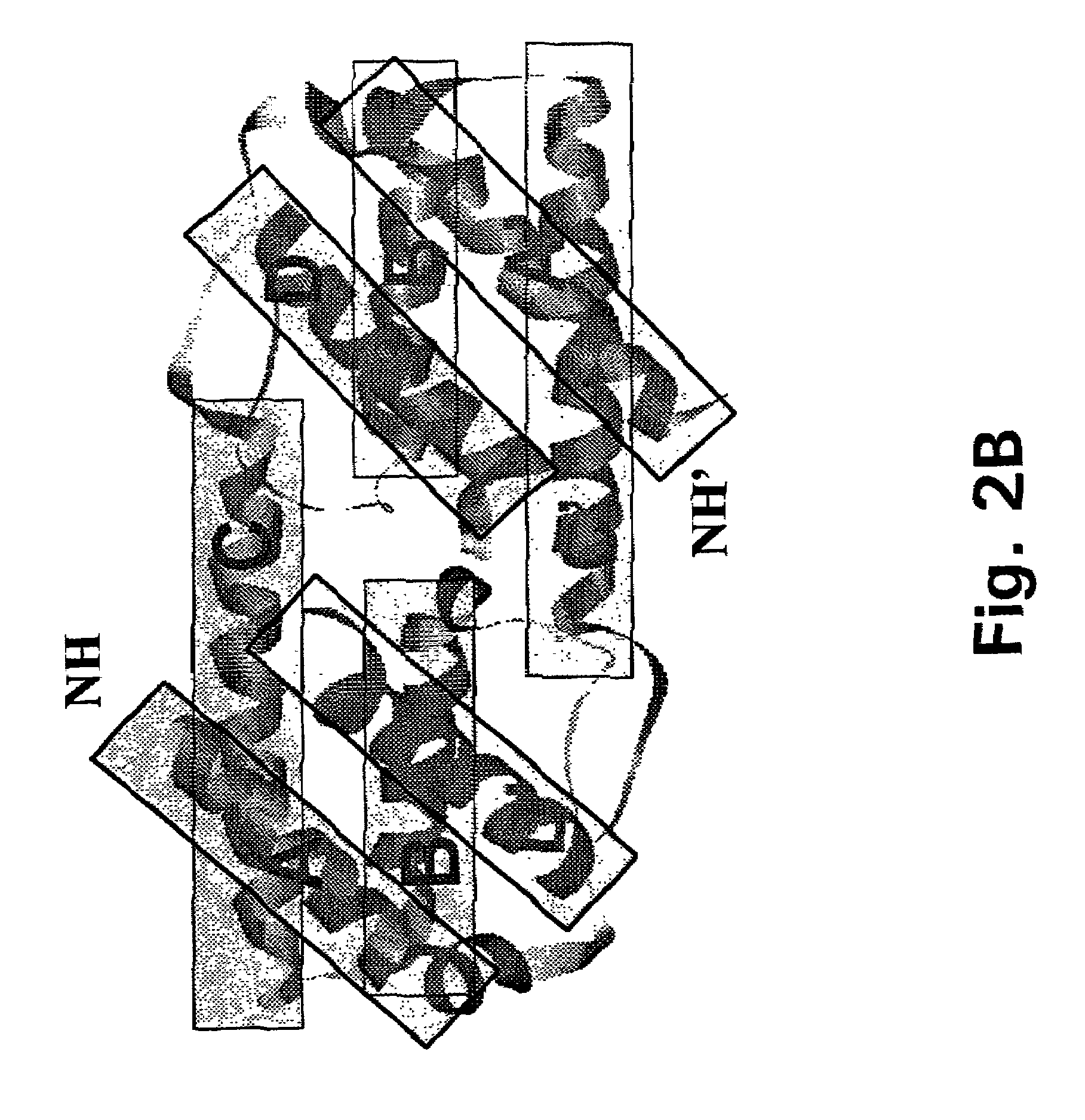 Method for down-regulating IL5 activity