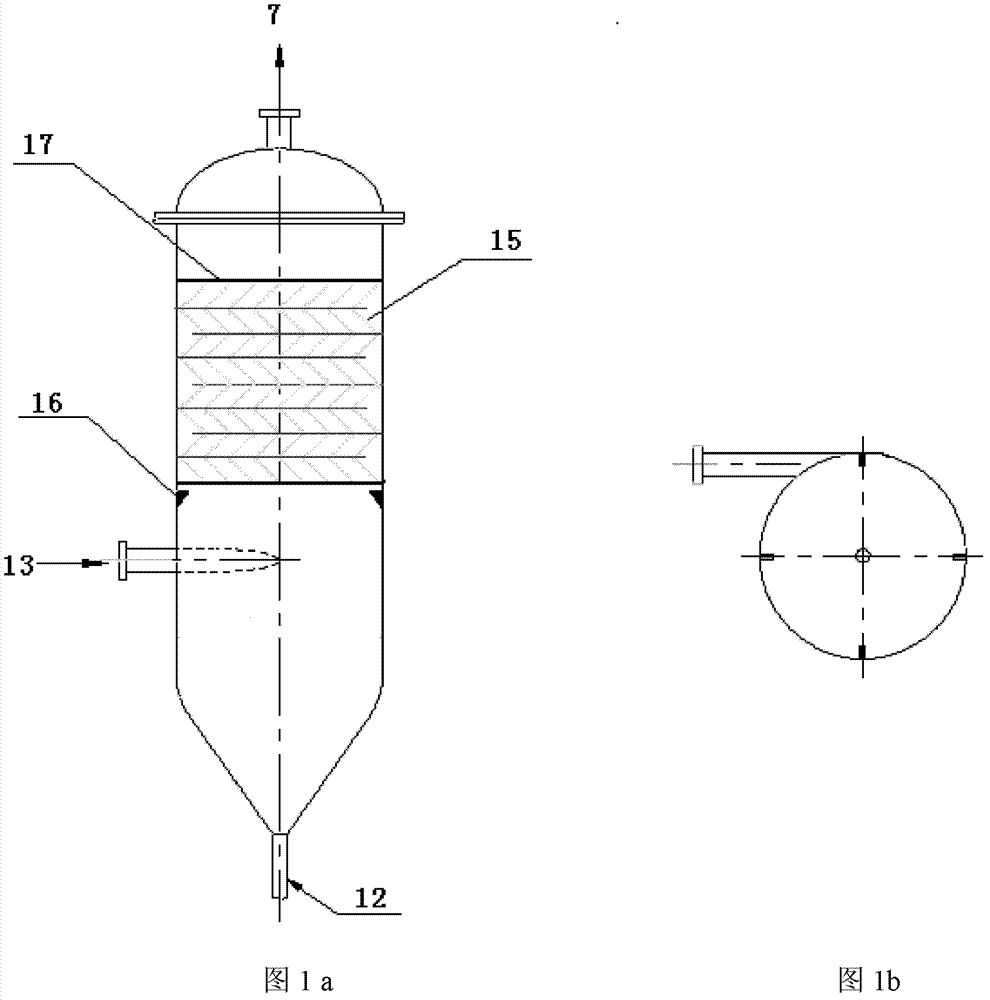 Sulfonation reaction tail gas processing apparatus and application thereof