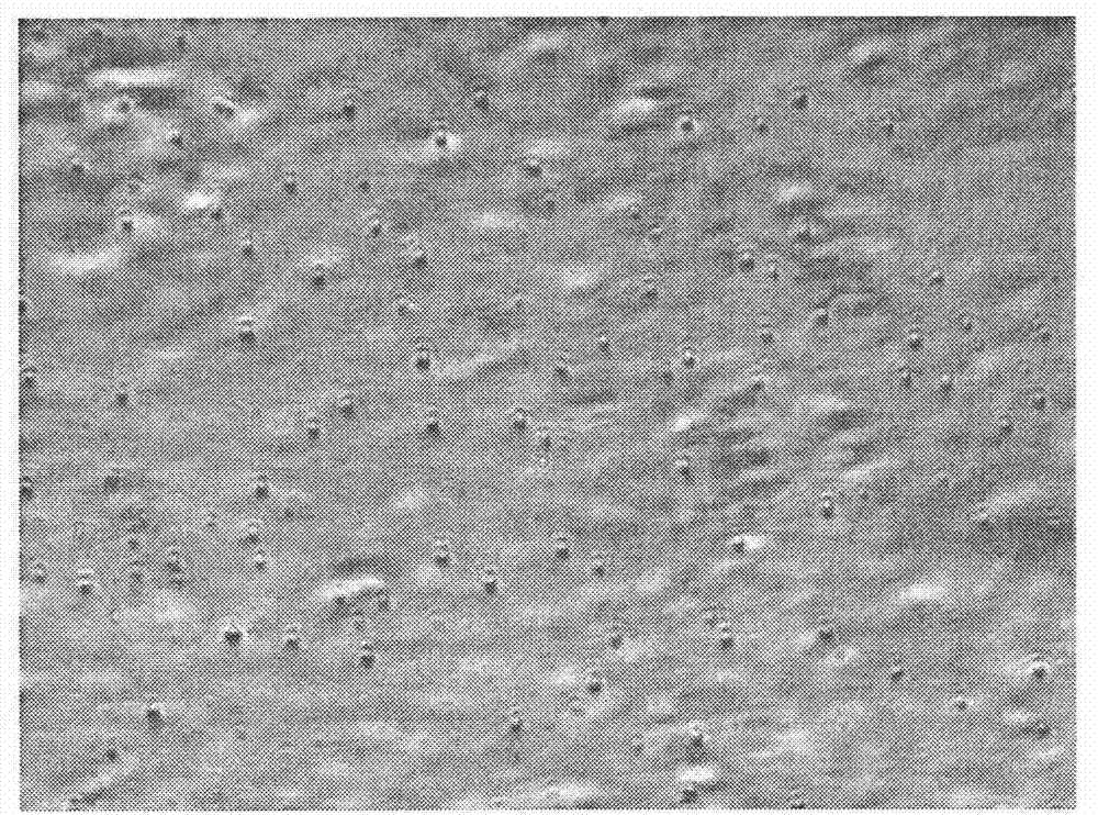 Thymalfasin chitosan / beta-cyclodextrin composite microsphere drug delivery system and preparation method