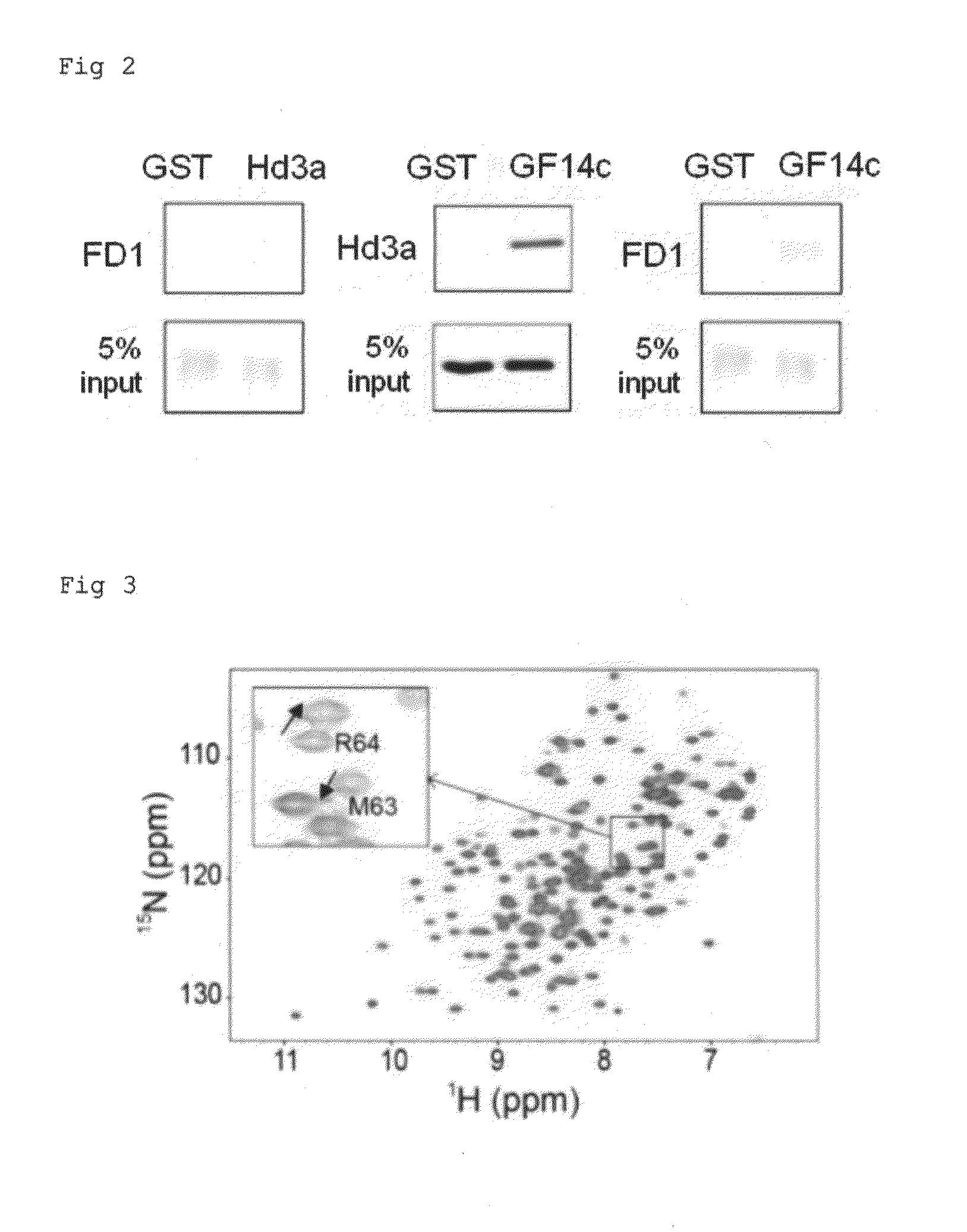 Florigen-activating complex