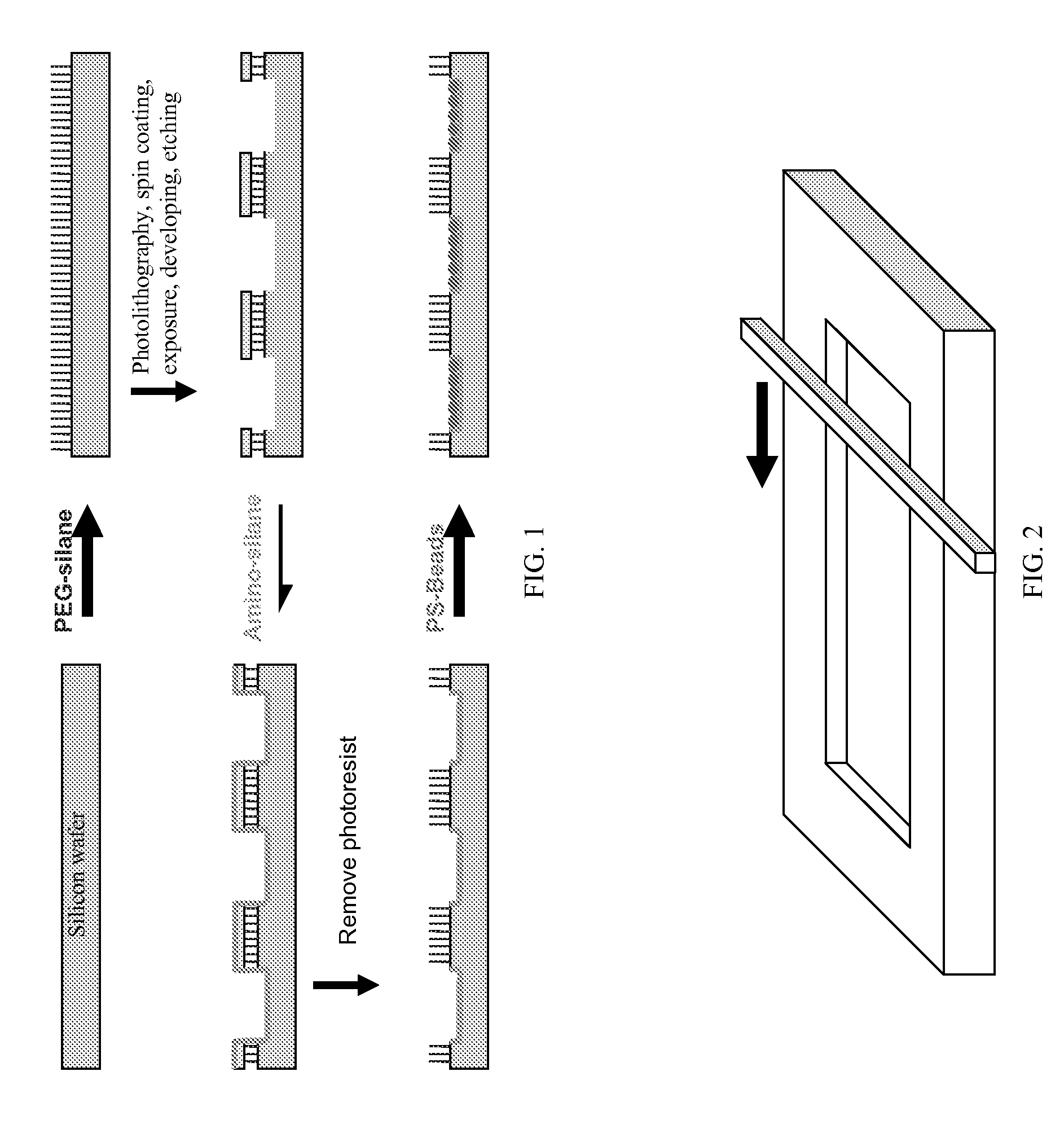 Signal amplified biological detection with conjugated polymers