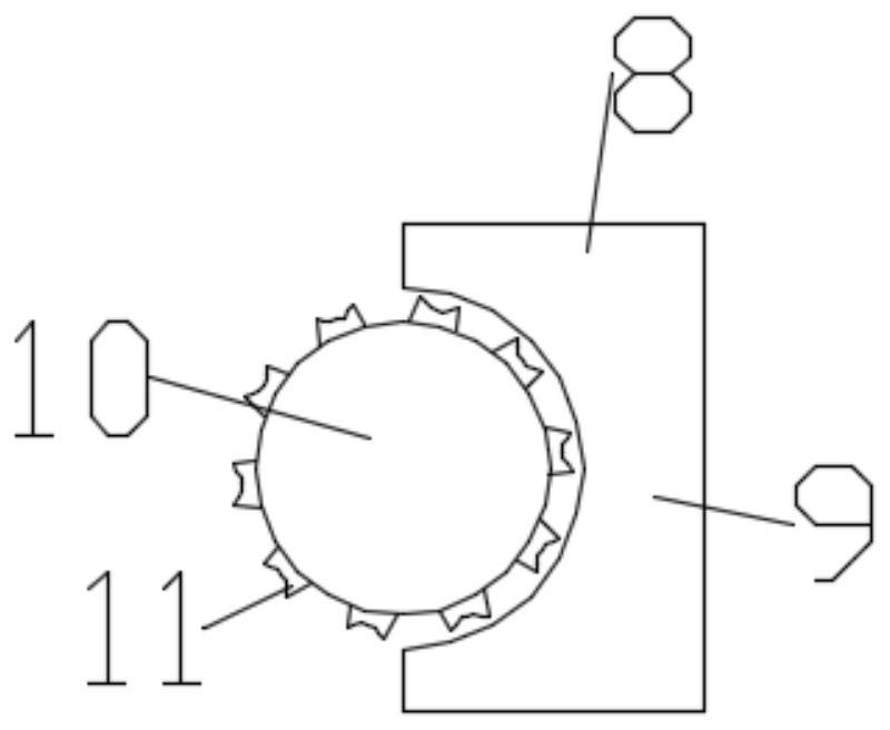 A multi-stage filter device for separating protoplasts from different tissues and organs of peanut