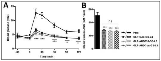 Fusion protein for treating diabetes and/or obesity