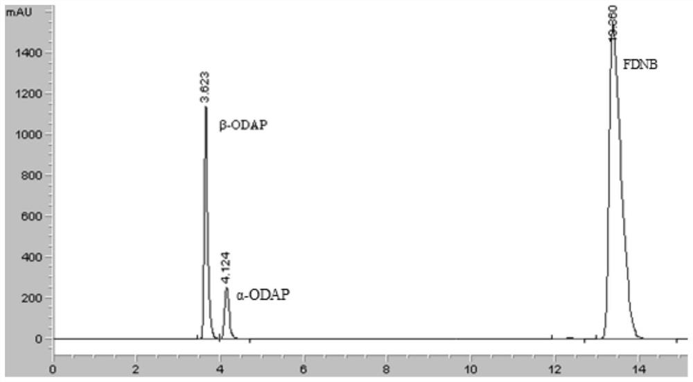 Method for separating and purifying dencichine from legume plants