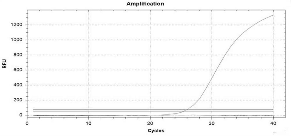 A kind of back-shaped lna probe and application thereof for point mutation detection