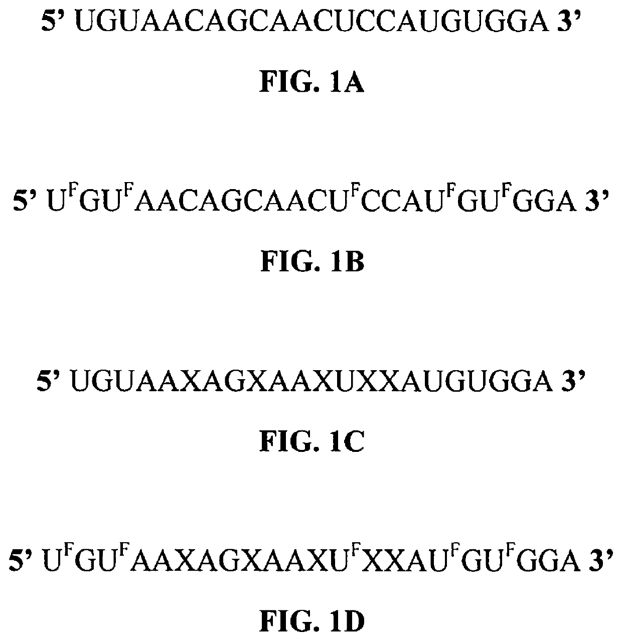 Modified micrornas and their use in the treatment of cancer