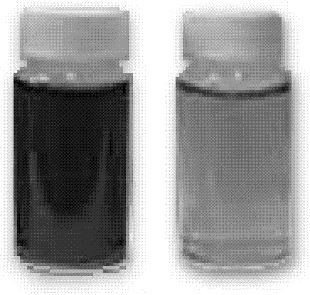 Method for supercritical fluid in-situ preparation of graphene/fluoropolymer composite material