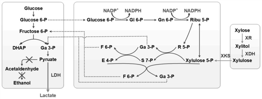 A method for recombinant yeast strain and microbial mixed bacteria to produce electricity