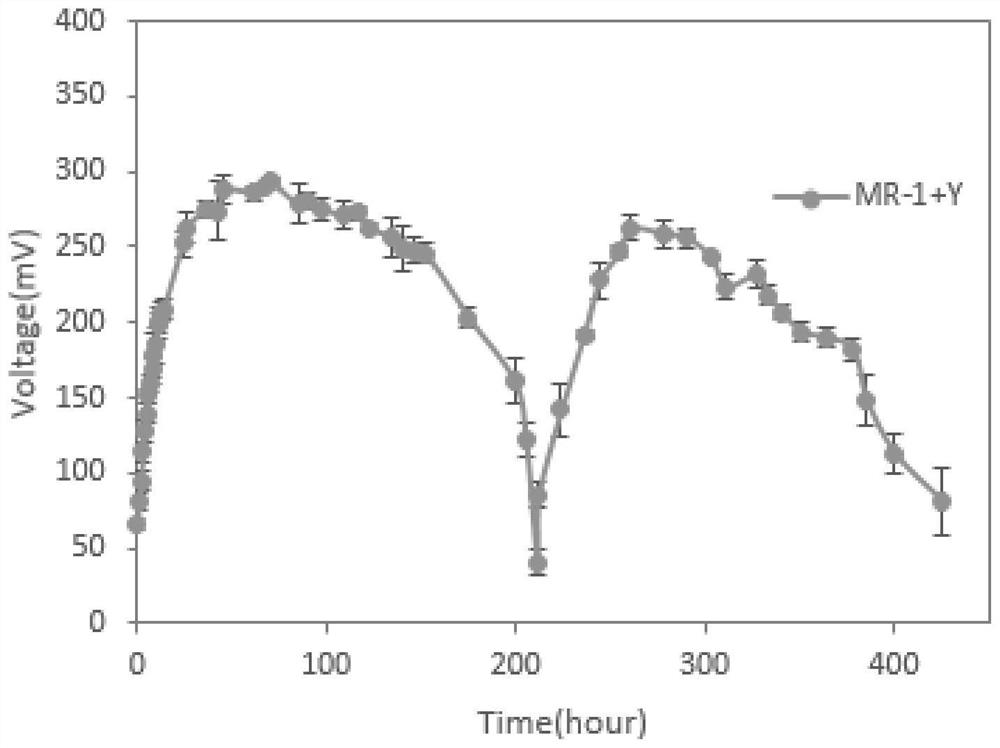 A method for recombinant yeast strain and microbial mixed bacteria to produce electricity