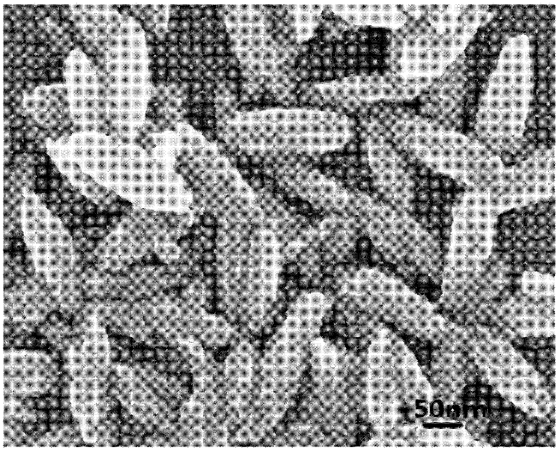 Preparation method of nano hydroxyapatite