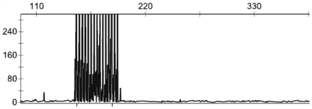 Method for amplifying GGC repetitive sequence of NOTCH2NLC gene