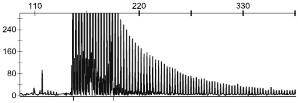 Method for amplifying GGC repetitive sequence of NOTCH2NLC gene