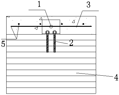 Wood-concrete composite beam shear connector pushing-out testing sample