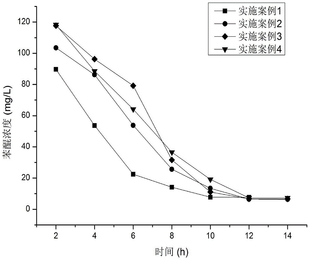 Composite chemical for degrading pollutant benzoquinone in wastewater and method for degrading pollutant benzoquinone in wastewater