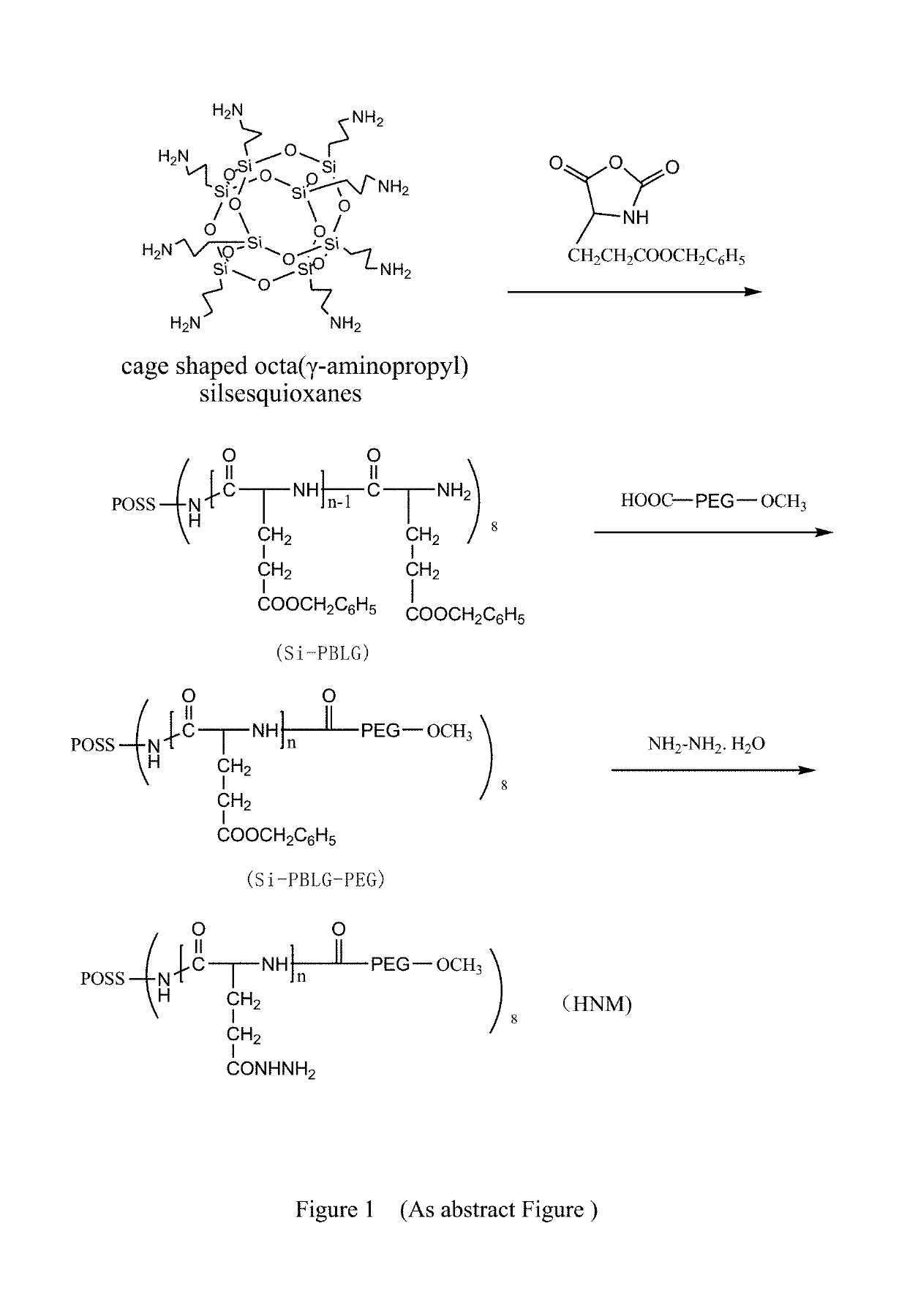 A method for preparation of hybrid amphiphilic star copolymer nano micelles