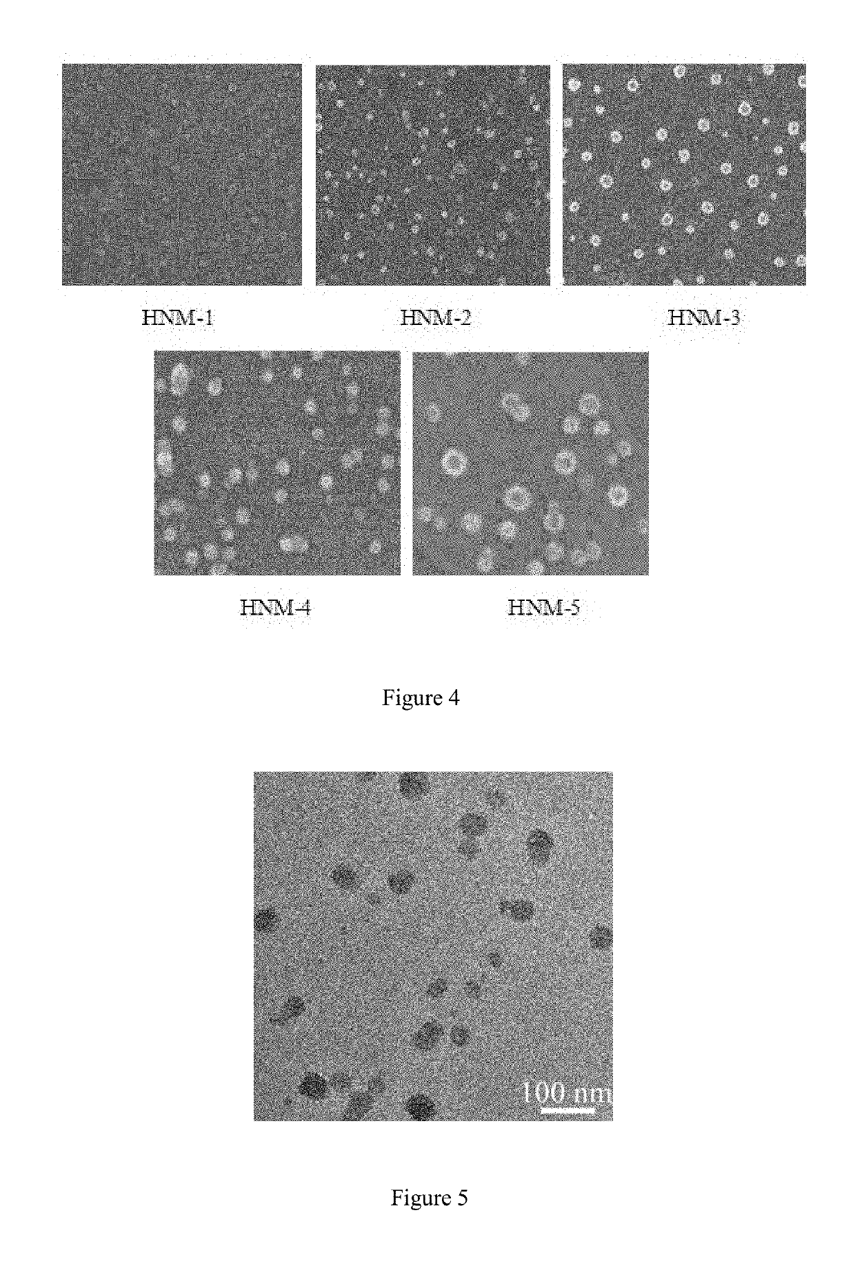 A method for preparation of hybrid amphiphilic star copolymer nano micelles