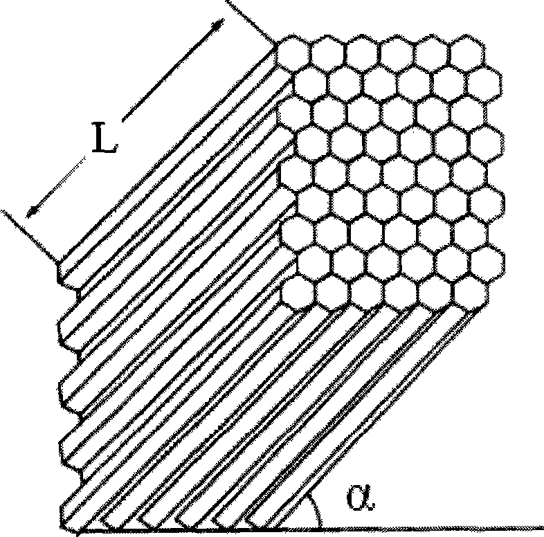 Sewerage pretreatment method and denitrification anaerobic hydrolytic precipitation pool