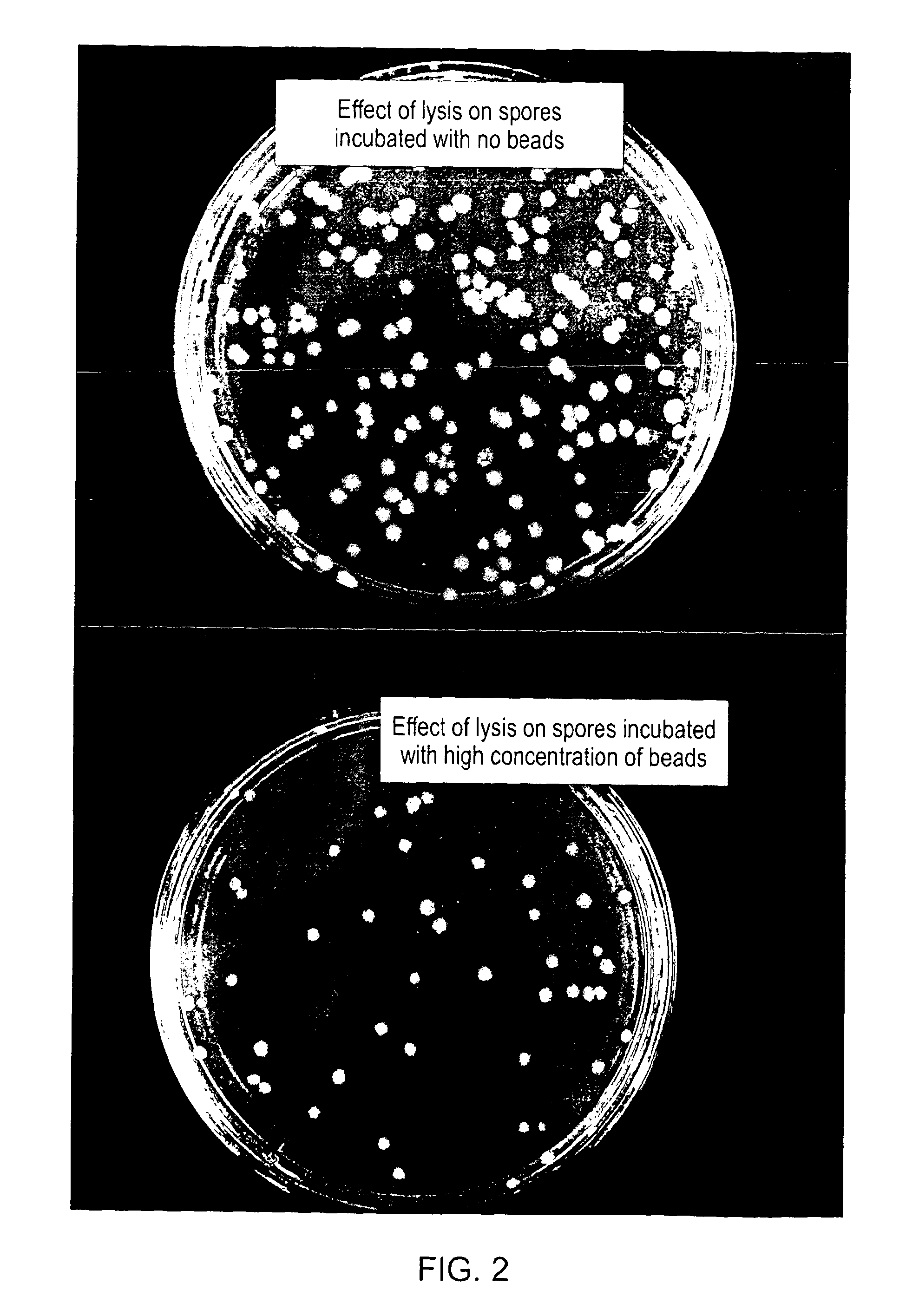 Method, Device and System for Targetted Cell Lysis