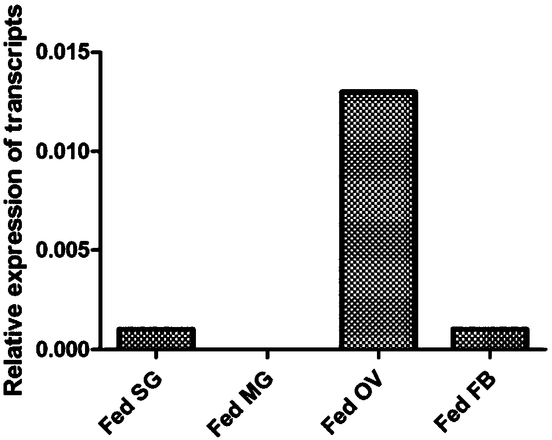 Rhipicephalus haemaphysaloides vacuolar protein sorting molecule and application thereof