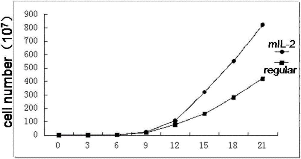 Method for efficiently amplifying NK cells