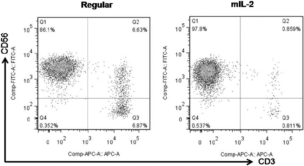 Method for efficiently amplifying NK cells